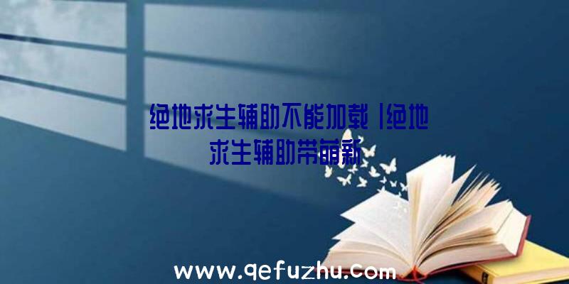 「绝地求生辅助不能加载」|绝地求生辅助带萌新